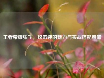 王者荣耀张飞，攻击装的魅力与实战搭配策略