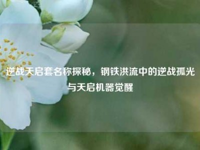逆战天启套名称探秘，钢铁洪流中的逆战孤光与天启机器觉醒