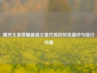 揭开王者荣耀最强王者代练的灰色面纱与排行内幕
