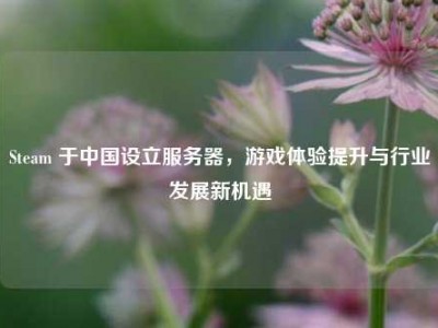 Steam 于中国设立服务器，游戏体验提升与行业发展新机遇