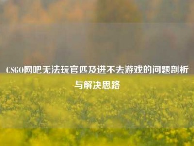 CSGO网吧无法玩官匹及进不去游戏的问题剖析与解决思路