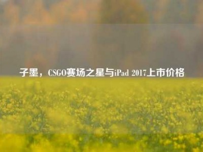 子墨，CSGO赛场之星与iPad 2017上市价格
