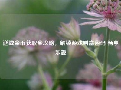 逆战金币获取全攻略，解锁游戏财富密码 畅享乐趣