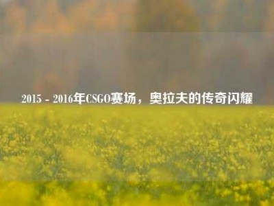2015 - 2016年CSGO赛场，奥拉夫的传奇闪耀