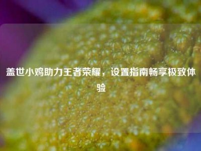 盖世小鸡助力王者荣耀，设置指南畅享极致体验
