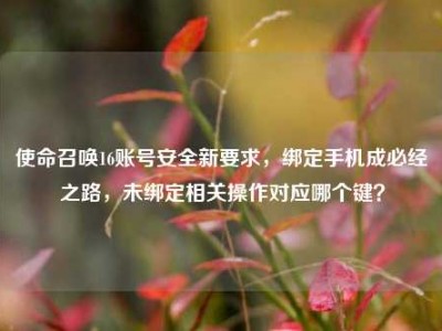 使命召唤16账号安全新要求，绑定手机成必经之路，未绑定相关操作对应哪个键？