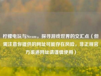 柠檬电玩与Steam，探寻游戏世界的交汇点（但需注意你提供的网址可能存在风险，非正规官方渠道网址请谨慎使用）