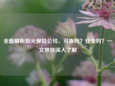 全面解析阳光保险公司，可靠吗？安全吗？一文带你深入了解