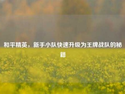 和平精英，新手小队快速升级为王牌战队的秘籍