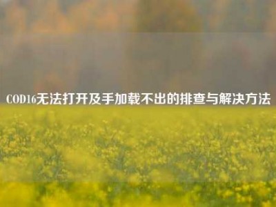 COD16无法打开及手加载不出的排查与解决方法