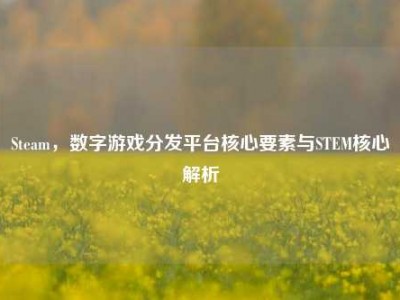 Steam，数字游戏分发平台核心要素与STEM核心解析