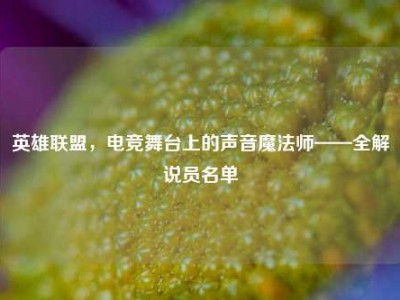 英雄联盟，电竞舞台上的声音魔法师——全解说员名单