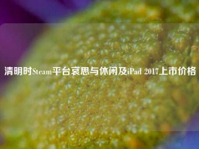清明时Steam平台哀思与休闲及iPad 2017上市价格