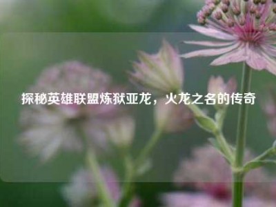 探秘英雄联盟炼狱亚龙，火龙之名的传奇