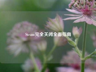 Steam完全关闭全面指南