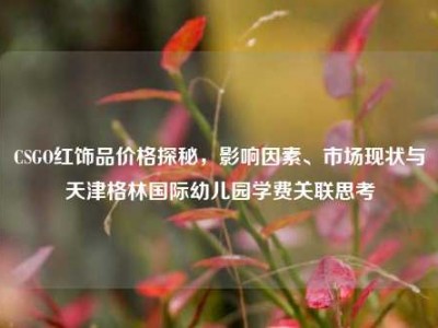 CSGO红饰品价格探秘，影响因素、市场现状与天津格林国际幼儿园学费关联思考