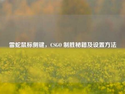 雷蛇鼠标侧键，CSGO 制胜秘籍及设置方法