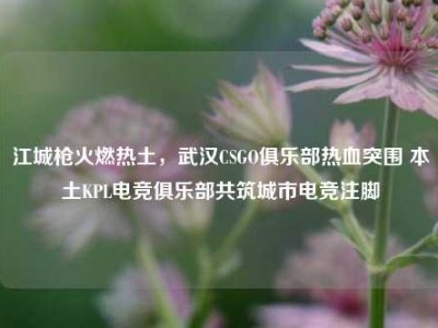 江城枪火燃热土，武汉CSGO俱乐部热血突围 本土KPL电竞俱乐部共筑城市电竞注脚