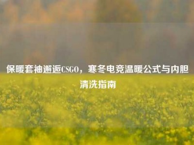 保暖套袖邂逅CSGO，寒冬电竞温暖公式与内胆清洗指南