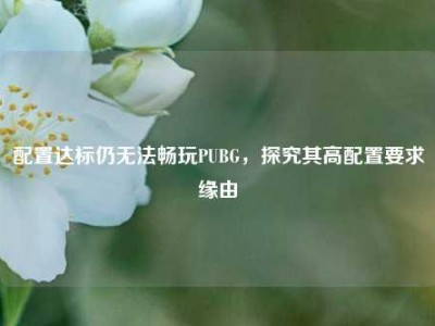 配置达标仍无法畅玩PUBG，探究其高配置要求缘由