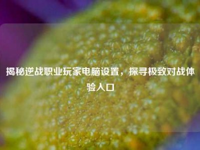 揭秘逆战职业玩家电脑设置，探寻极致对战体验入口