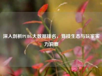 深入剖析PUBG大数据排名，竞技生态与玩家实力洞察