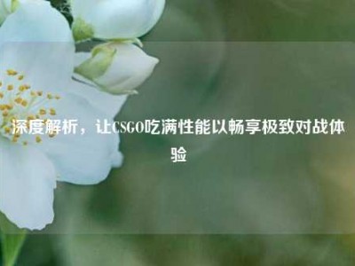 深度解析，让CSGO吃满性能以畅享极致对战体验