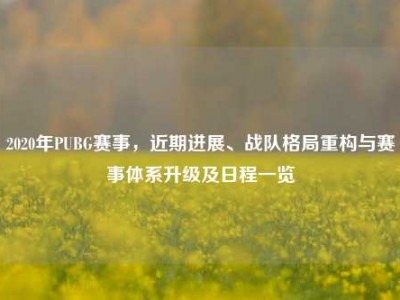 2020年PUBG赛事，近期进展、战队格局重构与赛事体系升级及日程一览