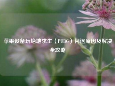 苹果设备玩绝地求生（PUBG）闪退原因及解决全攻略