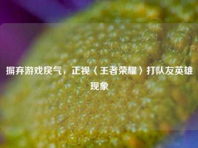 摒弃游戏戾气，正视〈王者荣耀〉打队友英雄现象