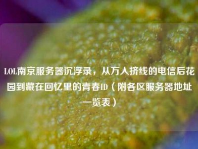 LOL南京服务器沉浮录，从万人挤线的电信后花园到藏在回忆里的青春ID（附各区服务器地址一览表）