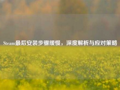 Steam最后安装步骤缓慢，深度解析与应对策略