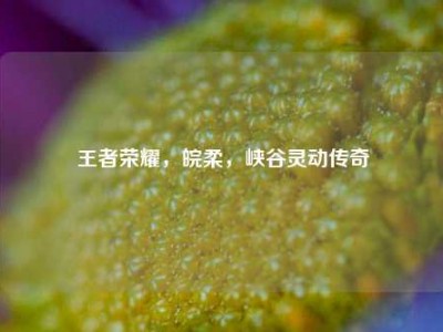 王者荣耀，皖柔，峡谷灵动传奇