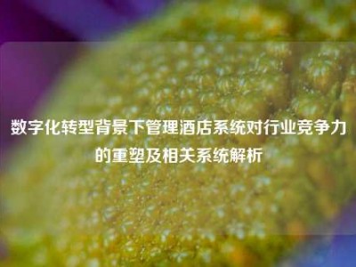 数字化转型背景下管理酒店系统对行业竞争力的重塑及相关系统解析