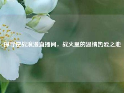 探寻逆战浪漫直播间，战火里的温情热爱之地
