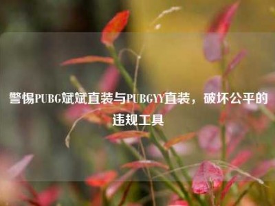 警惕PUBG斌斌直装与PUBGYY直装，破坏公平的违规工具