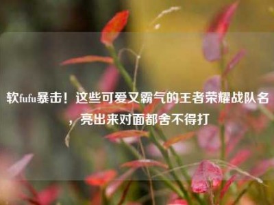 软fufu暴击！这些可爱又霸气的王者荣耀战队名，亮出来对面都舍不得打