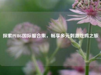 探索PUBG国际服合集，畅享多元刺激吃鸡之旅