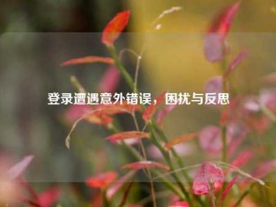 登录遭遇意外错误，困扰与反思
