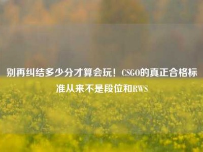 别再纠结多少分才算会玩！CSGO的真正合格标准从来不是段位和RWS