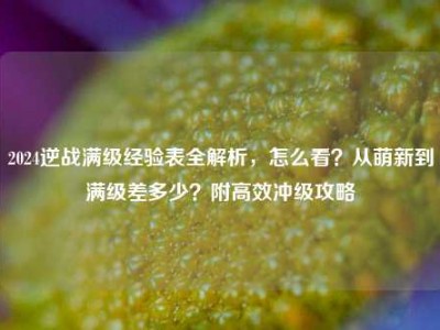 2024逆战满级经验表全解析，怎么看？从萌新到满级差多少？附高效冲级攻略