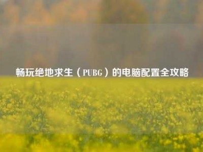 畅玩绝地求生（PUBG）的电脑配置全攻略