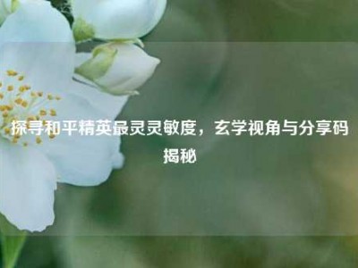 探寻和平精英最灵灵敏度，玄学视角与分享码揭秘