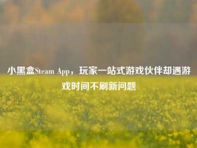 小黑盒Steam App，玩家一站式游戏伙伴却遇游戏时间不刷新问题
