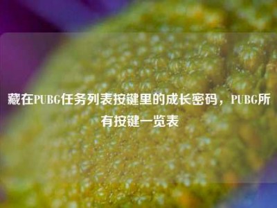 藏在PUBG任务列表按键里的成长密码，PUBG所有按键一览表