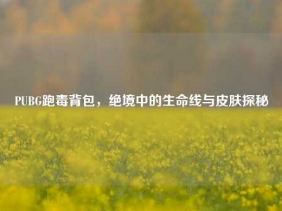 PUBG跑毒背包，绝境中的生命线与皮肤探秘