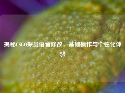 揭秘CSGO探员语音修改，基础操作与个性化体验