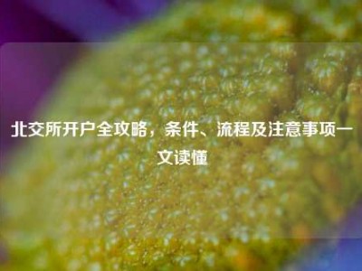 北交所开户全攻略，条件、流程及注意事项一文读懂