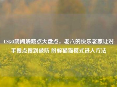 CSGO阴间躲藏点大盘点，老六的快乐老家让对手搜点搜到破防 附躲猫猫模式进入方法