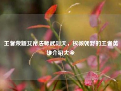 王者荣耀女帝法师武则天，权倾朝野的王者英雄介绍大全